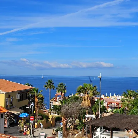 Flores فندق 4*