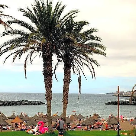 Flores Costa Adeje (Tenerife)